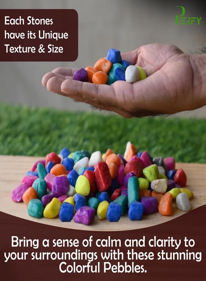 Perfy Multicolor Decorative Stones -1KG Multi-Purpose Pebble Stone for Aquarium, Art & Craft,Vase Fillers, Home Garden - Image 4